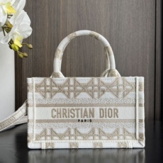 Christian Dior Shopping Bags